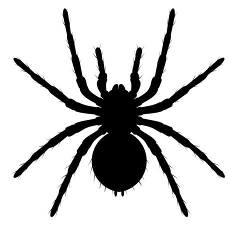 Spider Svg Spiders Svg Spider Silhouette Spider Svg Bundle Spider