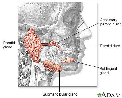 Salivary Gland Tumors UF Health University Of Florida Health