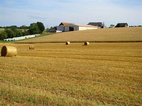 Exploitation agricole Wikipédia