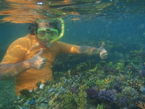 Bali Coral Farm Blue Star Bali Environmental Sensitive Sustainable