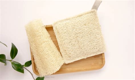 Esponja De Luffa Sus Beneficios Y C Mo Usarla Nexofin