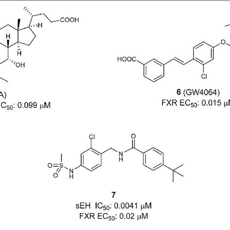 Dual Fxrpparα Agonist Download Scientific Diagram