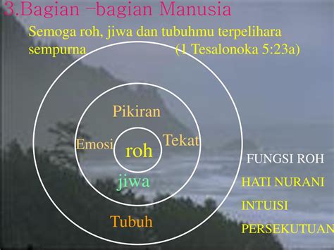 Gambar Tubuh Jiwa Dan Roh 51 Koleksi Gambar