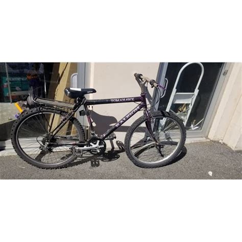 Raleigh Bike