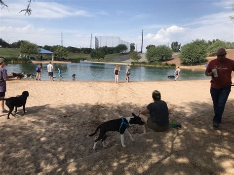 Cosmo Dog Park 110 Photos And 72 Reviews 2502 E Ray Rd Gilbert