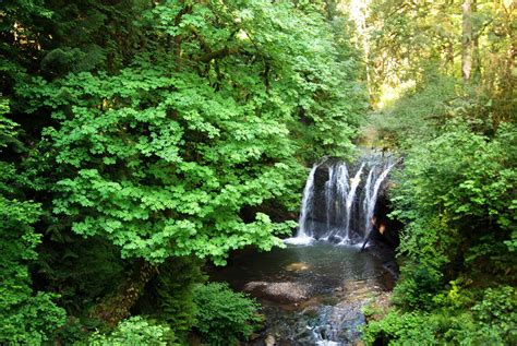 Hidden Falls Nature Park Travel Oregon