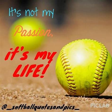 Softball | Softball, Baseball tshirts, Fun sports