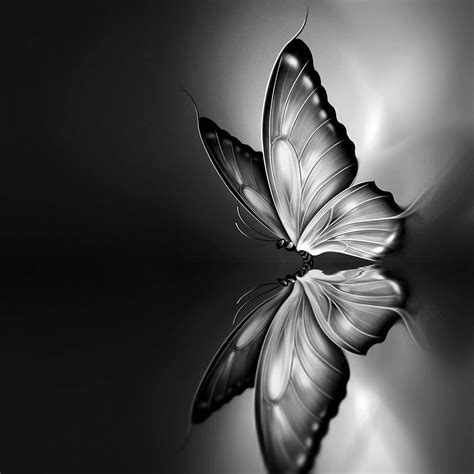 Magical Nights Beautiful Butterflies Art Butterfly Wallpaper Butterfly