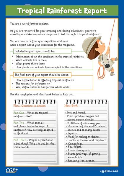 Rainforest Layers And Wildlife Years 5 6 Cgp Plus