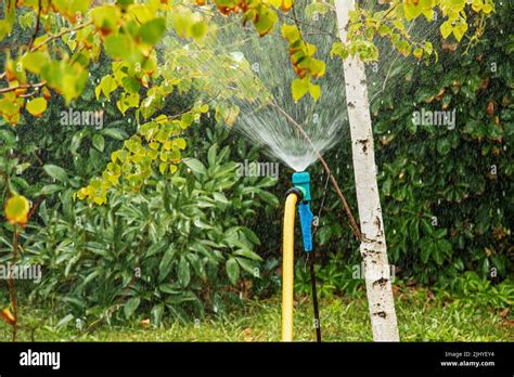 Automatic Sprinkler System Watering The Lawn On A Bakround Of Green