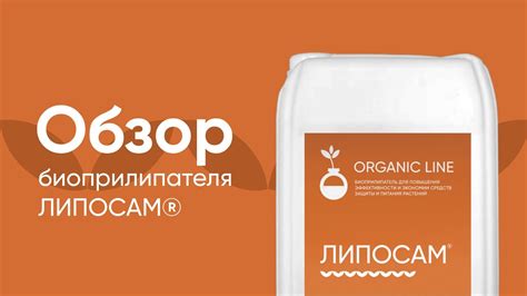 Детальный обзор биоприлипателя Липосам® - YouTube