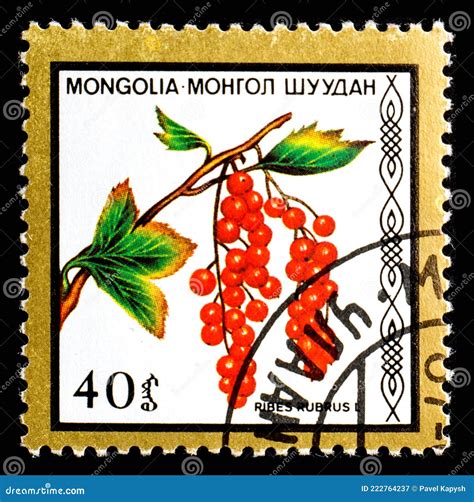 Mongolia Circa A Postage Stamp From Mongolia Showing Berries