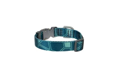 Rex Specs New Leashes and Collars