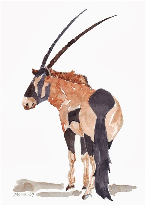 Art And Creativity Gemsbuck Oryx Gazella Gemsbok