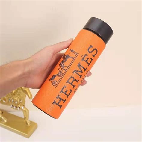 Thermos Cup 500ml 77 Accessory丨yg