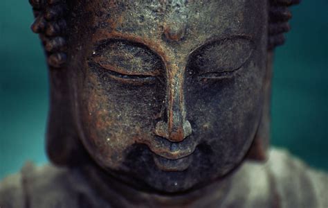 The Power of Koan Practice - Lions Roar