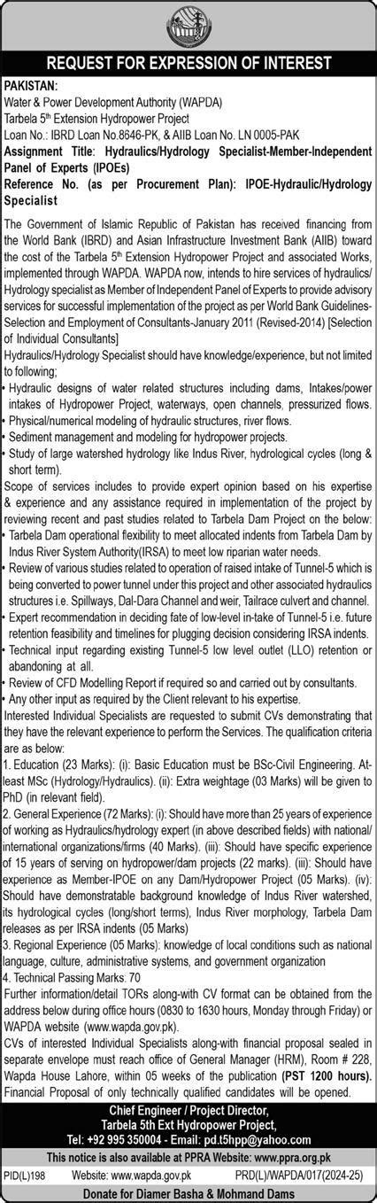 Consultant Job At Water And Power Development Authority Job