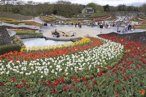 国営みちのく杜の湖畔公園 クチコミガイド【フォートラベル】柴田・大河原・川崎