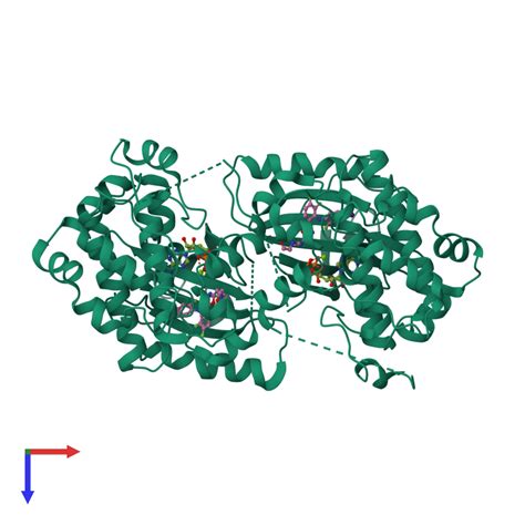 Pdb S I Gallery Protein Data Bank In Europe Pdbe Embl Ebi