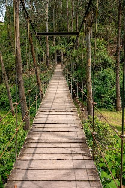 Premium Photo Hanging Wooden Bridge In The Forest