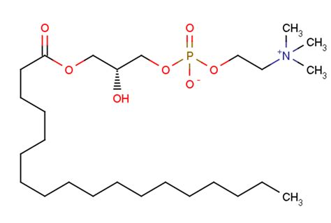 Stearoyl Sn Glycero Phosphocholine Inhibitor Targetmol