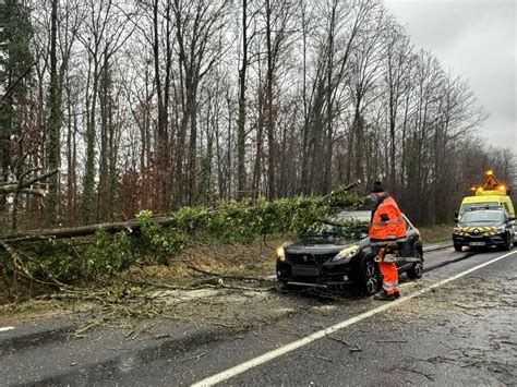 Sarreguemines Un arbre tombe sur une voiture la voie coupée route de