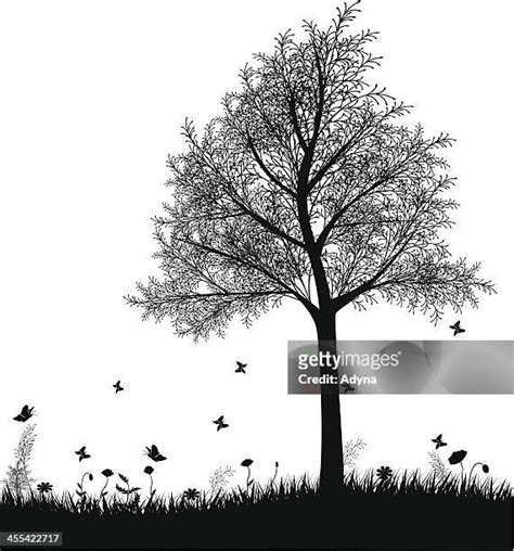 Daisy Flower Silhouette High Res Illustrations Getty Images