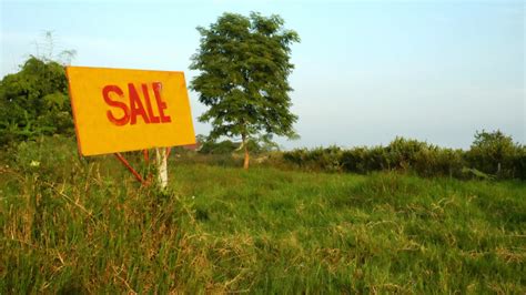 What You Need To Know To Sell Your Land Quickly