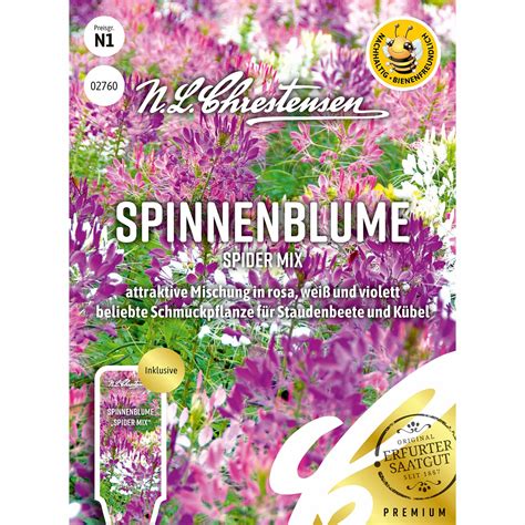 Spinnenblume Spider Mix Online Kaufen Bei Blumixx