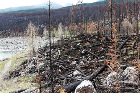 Can forest fires be predicted? How drones, data and computer science are being used in western ...