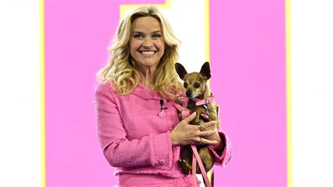 Legally Blonde Prequel Series Elle Casts Lexi Minetree S Parents