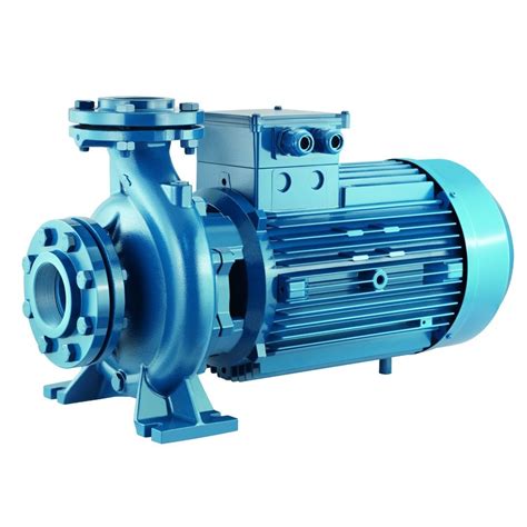 Cm65 160 C Centrifugal Pump Pumps From Uk Wrobinson And Sons