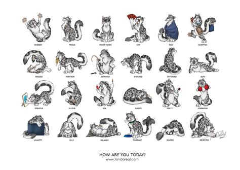 How are you today - snow cats by TaniDaReal on DeviantArt