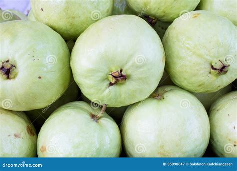 Guava Royalty Free Stock Photography Image 35090647