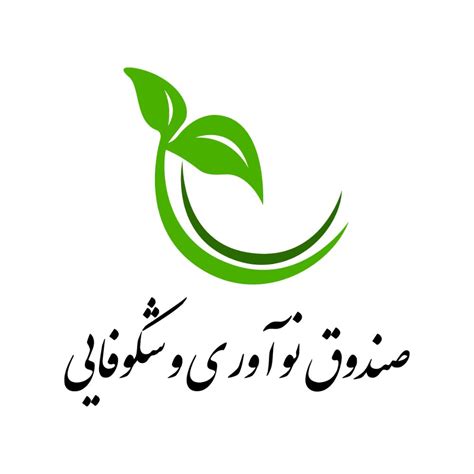 صندوق نوآوری و شکوفایی انجمن ترویج علم ایران