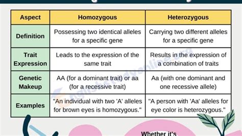 Criteria Vs Criterion How To Use Them Correctly English Study Online