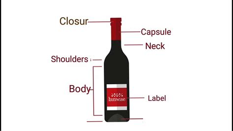 🍾 Wine Bottle Anatomy Youtube