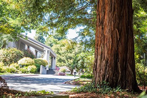 Library Reopens its Doors to Campus Community | Humboldt NOW | Cal Poly ...