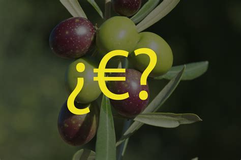 De Qu Depende El Precio Del Aceite De Oliva Lo Analizamos Masia El