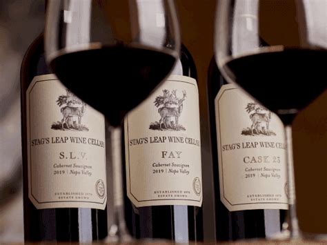 Leap Year With Stag S Leap Wine Cellars Winemaker Dinner