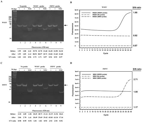 Generation And Detection Of Taqman Probe Hydrolysis In Iipcr Target