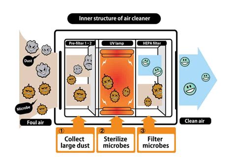 Revealed Do Air Purifiers Really Work Air Purifier Planet