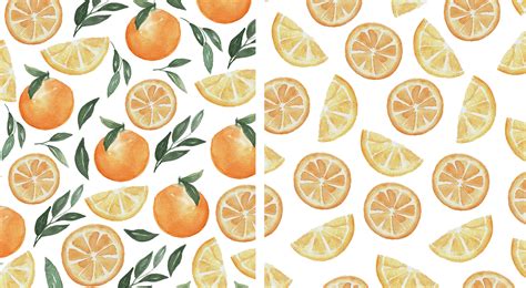 Orange Fruit Watercolor Collection On Behance