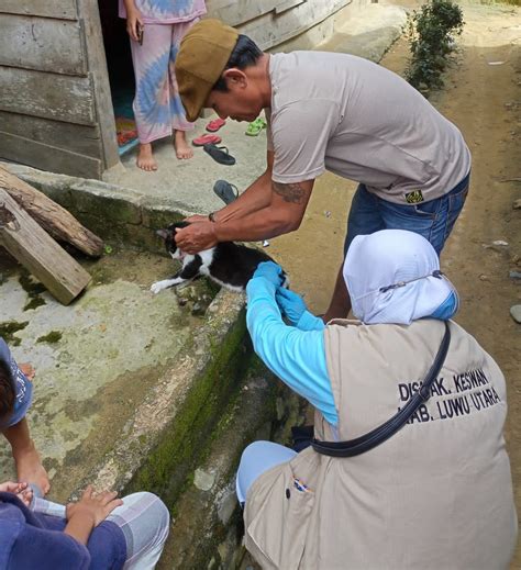 Kasus Kematian Akibat Rabies Di Sulsel Bertambah Rakyat Sulsel