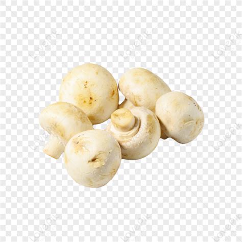 Six Fresh White Bisporus Mushroomsagaricus Bisporusdeliciousfungi