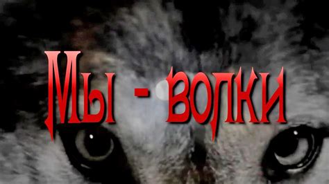Вячеслав МЕДЯНИК. Мы - волки / N-stудия - YouTube