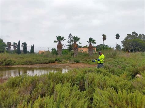 Tratamientos aéreos y terrestres contra los mosquitos en Torreblanca