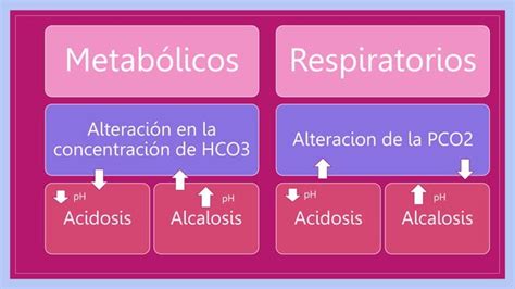 Trastornos Del Equilibrio Acido Base Pptx