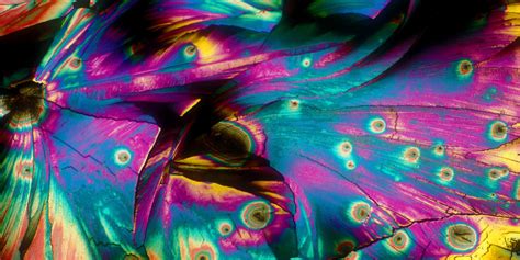 Images Of Alcohol Under A Microscope Business Insider