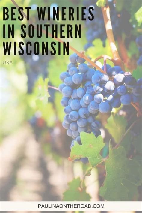 Top 10 Southern Wisconsin Wineries - Paulina on the road